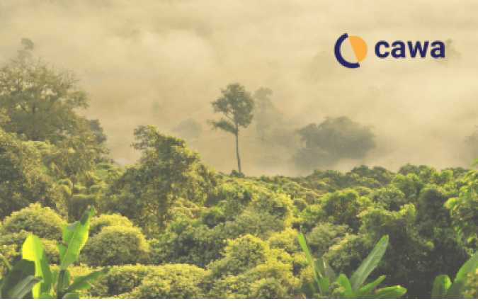 Cawa
